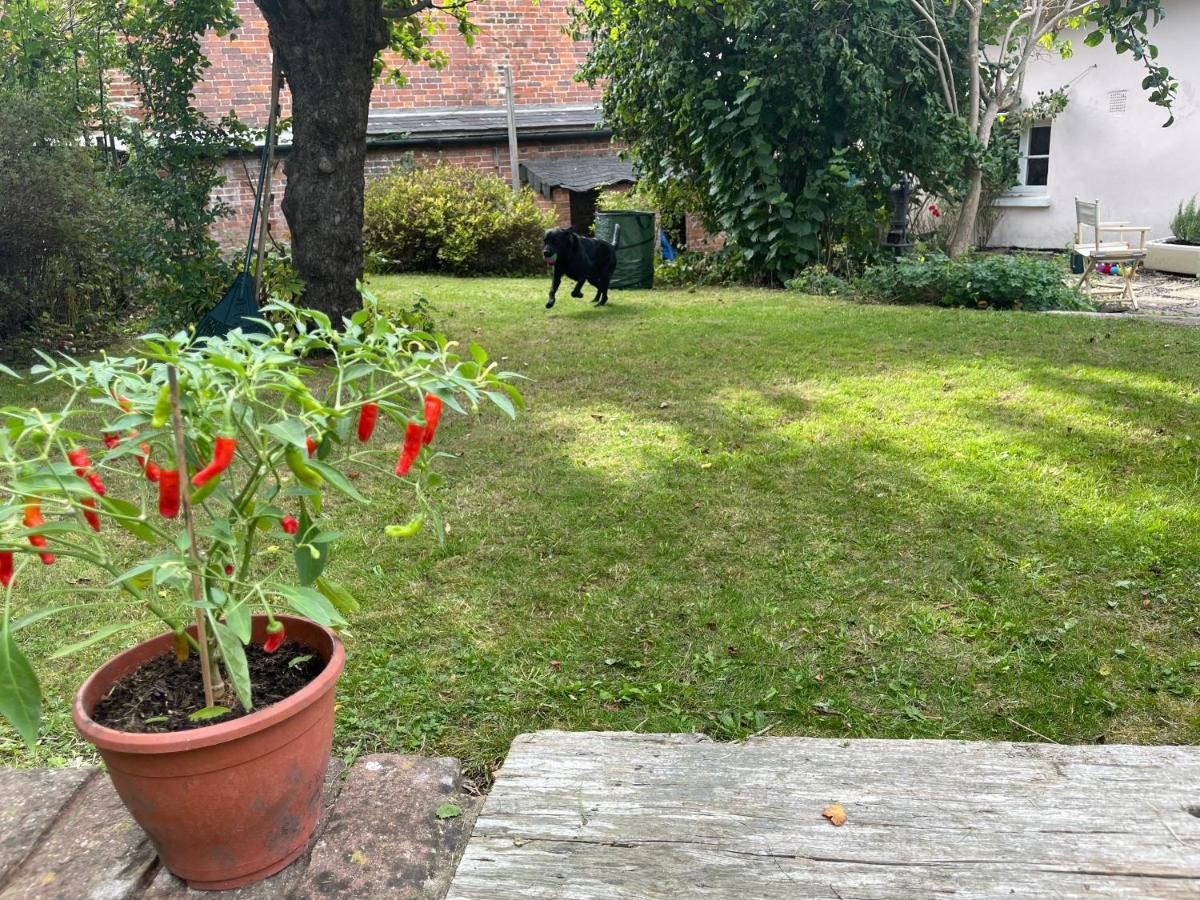 Beautiful Character Thatched Pet Friendly House Villa Enford Eksteriør bilde
